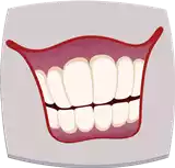 Teeth أسنان