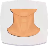 Neck رقبة