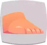 Foot قدم