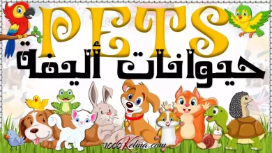 أسماء الحيوانات الأليفة بالانجليزية Pets [القاموس الناطق المصور]