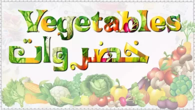 أسماء الخضروات بالانجليزي Vegetables [القاموس الناطق المصور]