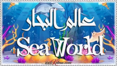 أسماء الكائنات البحرية بالانجليزي Sea World [القاموس الناطق المصور]