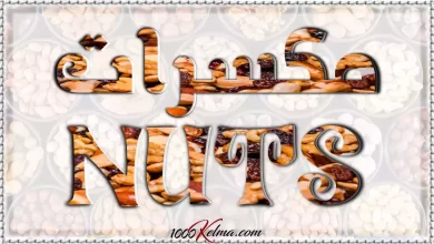 أسماء المكسرات بالانجليزي Nuts [القاموس الناطق المصور]