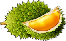 دوريان (ملكة الفواكه) Durian