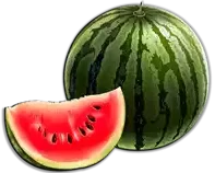 بطيخ Watermelon