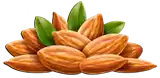 ﻟﻮﺯ Almond