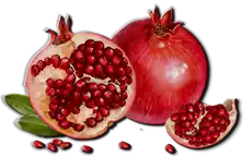 رمان Pomegranate