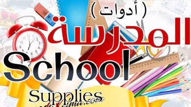 أسماء لوازم المدرسة بالانجليزية || School Supplies [القاموس الناطق المصور]