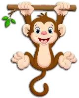 قرد Monkey