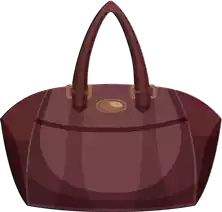 حقيبة يد Handbag