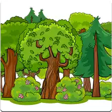 الأشجار Trees Trees produce oxygen and absorb carbon dioxide.