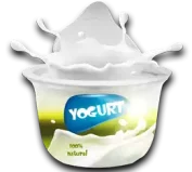 ﺯﺑﺎﺩﻱ Yogurt