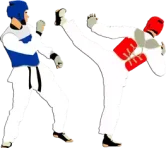 تايكوندو Taekwondo