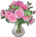 Vase مزهرية