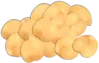 حمص Chickpeas