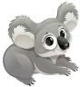 الكوالا Koala