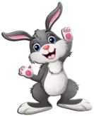 أرنب Rabbit