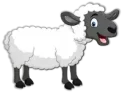 خروف Sheep