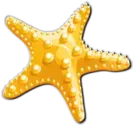 نجم البحر Starfish