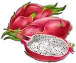 فاكهة التنين Dragon Fruit