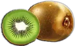 كيوي Kiwi