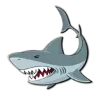 سمك القرش Shark