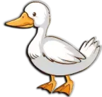 بطة Duck