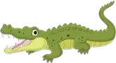 تمساح Crocodile