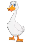 أوزة Goose