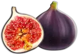 تين Fig