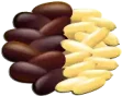 حبوب الصنيبر Pine Nut