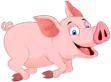 خنزير Pig