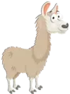 لاما Llama