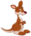 كنغر Kangaroo