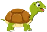 سلحفاة Turtle