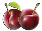 برقوق Plum