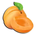 مشمش Apricot