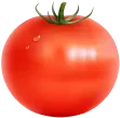 طماطم Tomato