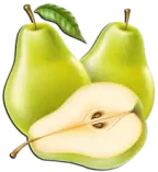 كمثرى Pear